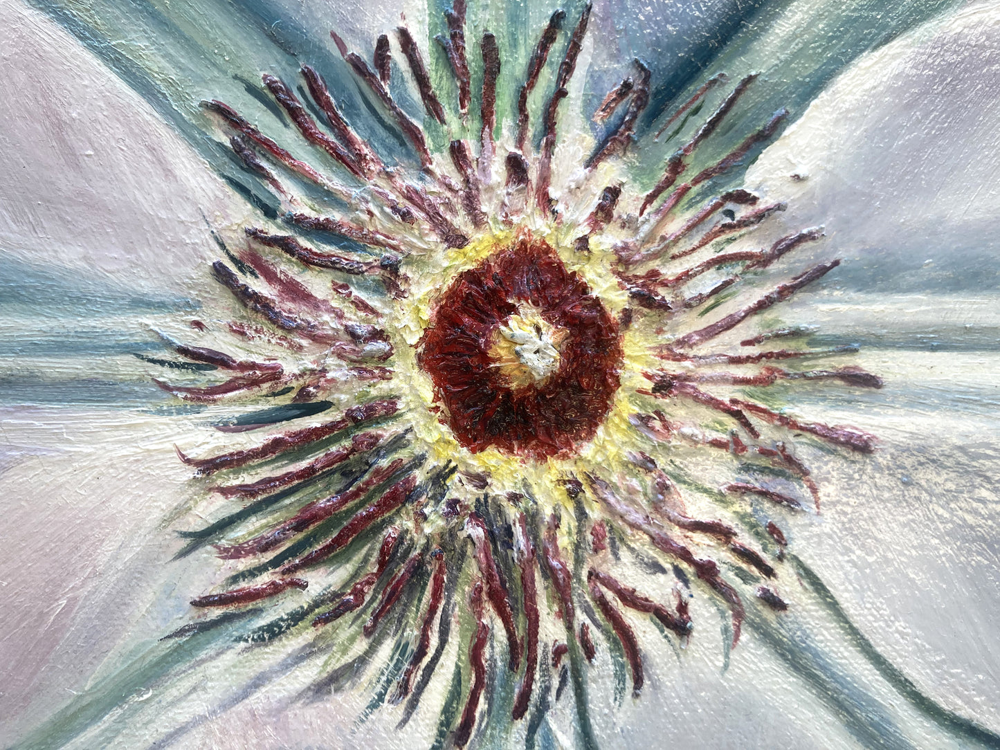 The Seed of Clematis