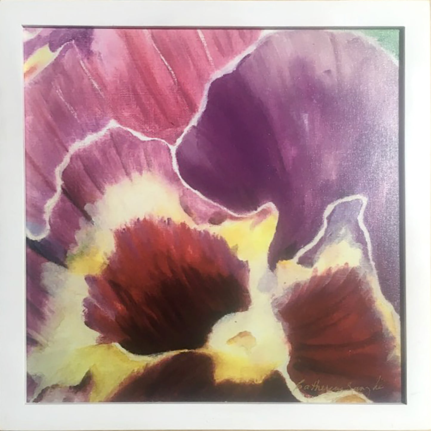 Pansy Close-Up