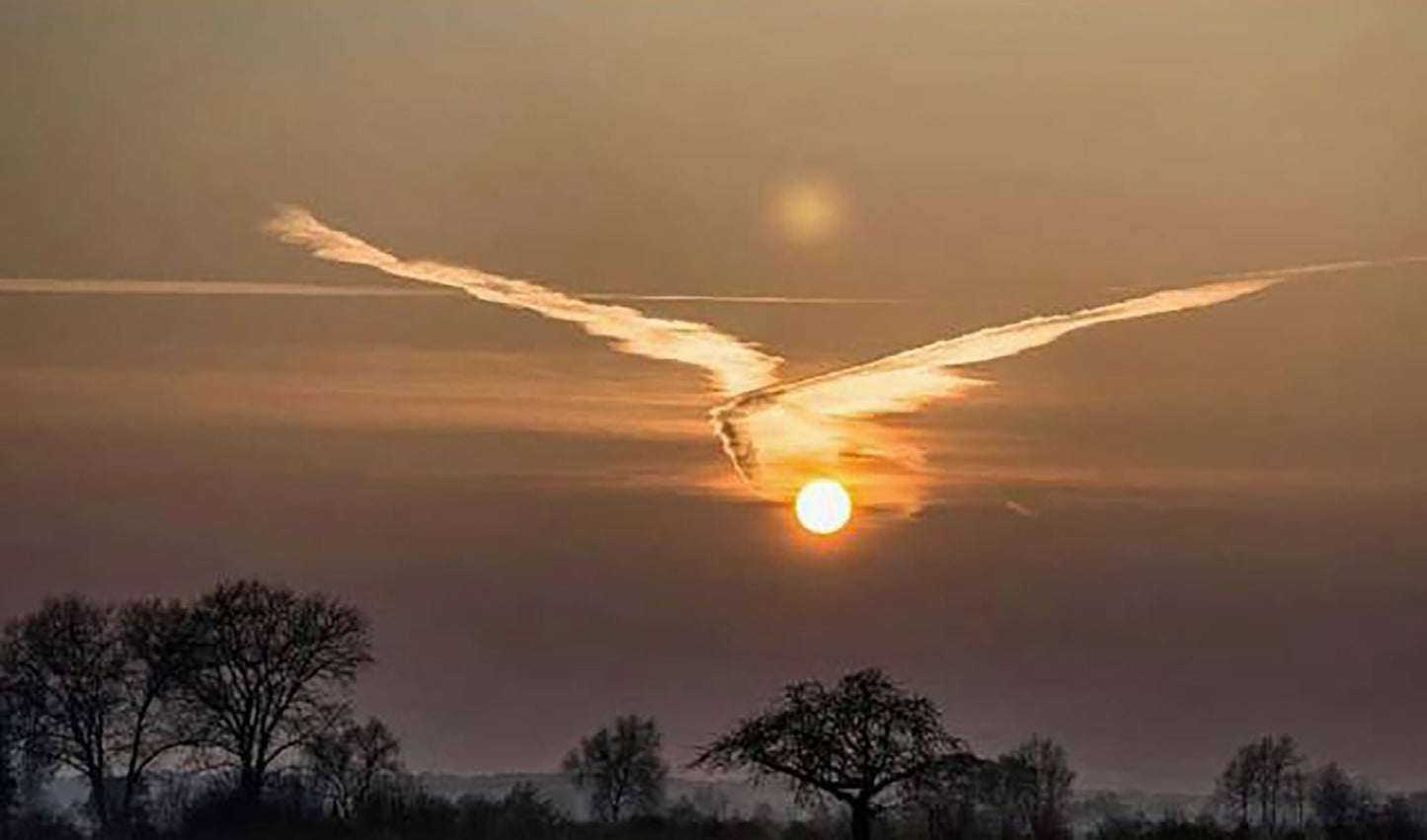 Sky Angel