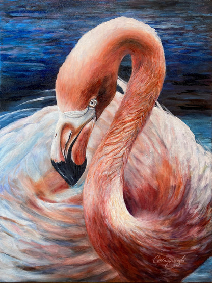 Flamingo Impressions