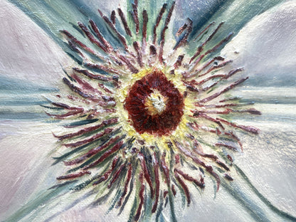 The Seed of Clematis