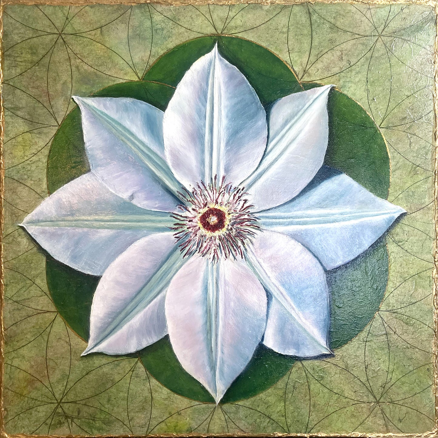 The Seed of Clematis