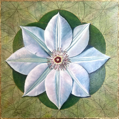 The Seed of Clematis