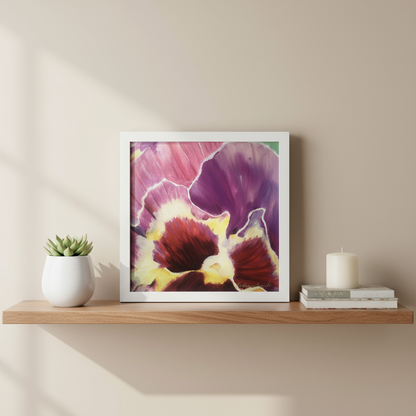 Pansy Close-Up