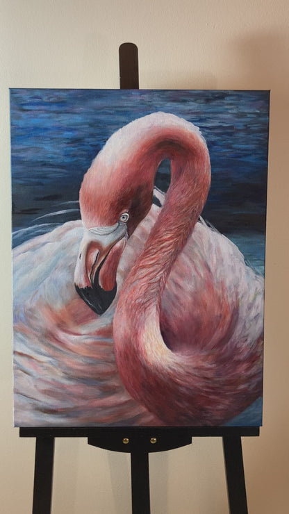 Flamingo Impressions