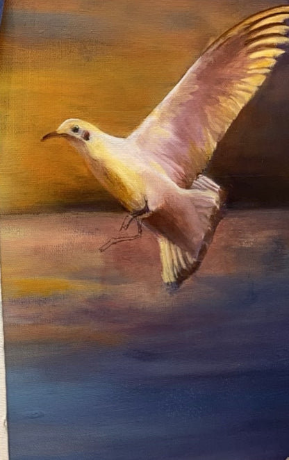 Sunset Serenade in Flight