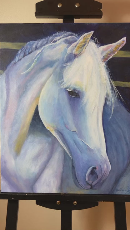 WHite Horse Serenity Video